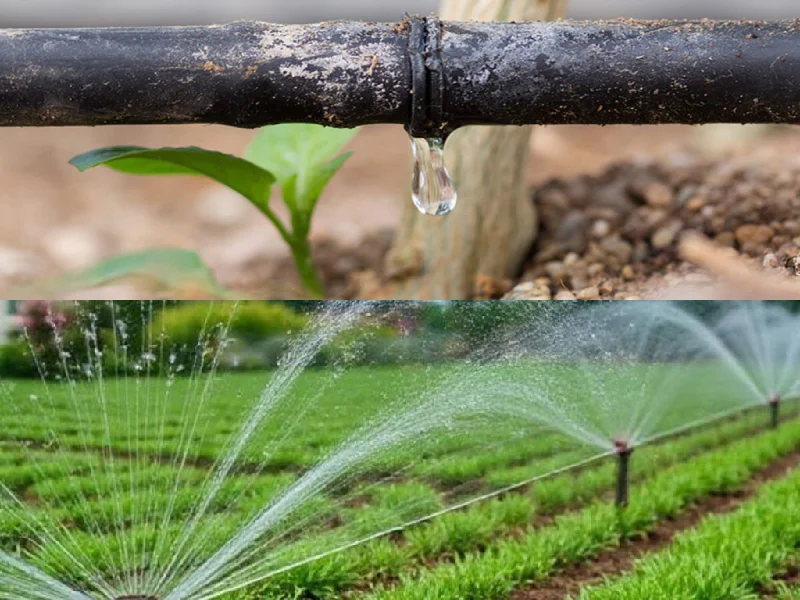 آبیاری قطره ای بهتر است یا غرقابی - مقایسه دقیق آبیاری قطره ای و غرقابی - تفاوت های دو روش آبیاری 